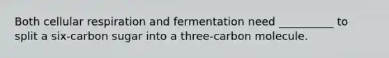 Both <a href='https://www.questionai.com/knowledge/k1IqNYBAJw-cellular-respiration' class='anchor-knowledge'>cellular respiration</a> and fermentation need __________ to split a six-carbon sugar into a three-carbon molecule.