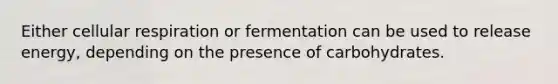 Either cellular respiration or fermentation can be used to release energy, depending on the presence of carbohydrates.