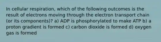 In cellular respiration, which of the following outcomes is the result of electrons moving through the electron transport chain (or its components)? a) ADP is phosphorylated to make ATP b) a proton gradient is formed c) carbon dioxide is formed d) oxygen gas is formed