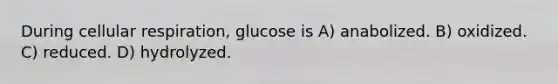 During cellular respiration, glucose is A) anabolized. B) oxidized. C) reduced. D) hydrolyzed.