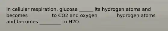 In cellular respiration, glucose ______ its hydrogen atoms and becomes _________ to CO2 and oxygen _______ hydrogen atoms and becomes _________ to H2O.