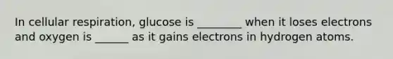 In cellular respiration, glucose is ________ when it loses electrons and oxygen is ______ as it gains electrons in hydrogen atoms.