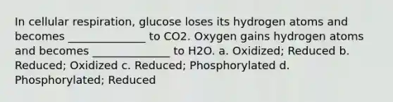 In cellular respiration, glucose loses its hydrogen atoms and becomes ______________ to CO2. Oxygen gains hydrogen atoms and becomes ______________ to H2O. a. Oxidized; Reduced b. Reduced; Oxidized c. Reduced; Phosphorylated d. Phosphorylated; Reduced