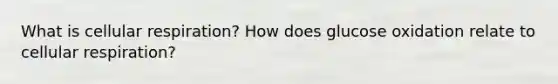 What is cellular respiration? How does glucose oxidation relate to cellular respiration?
