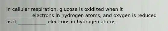 In cellular respiration, glucose is oxidized when it ___________electrons in hydrogen atoms, and oxygen is reduced as it ____________ electrons in hydrogen atoms.