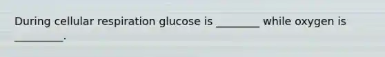 During <a href='https://www.questionai.com/knowledge/k1IqNYBAJw-cellular-respiration' class='anchor-knowledge'>cellular respiration</a> glucose is ________ while oxygen is _________.