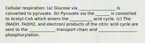 Cellular respiration: (a) Glucose via __________________ is converted to pyruvate. (b) Pyruvate via the _______ is converted to Acetyl-CoA which enters the ___________ acid cycle. (c) The (NADH, FADH2, and electron) products of the citric acid cycle are sent to the _____________-transport chain and ___________________ phosphorylation.