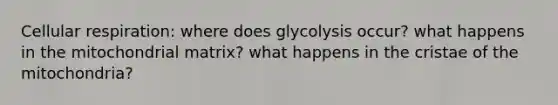 Cellular respiration: where does glycolysis occur? what happens in the mitochondrial matrix? what happens in the cristae of the mitochondria?