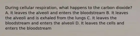 During cellular respiration, what happens to the carbon dioxide? A. It leaves the alveoli and enters the bloodstream B. It leaves the alveoli and is exhaled from the lungs C. It leaves the bloodstream and enters the alveoli D. It leaves the cells and enters the bloodstream