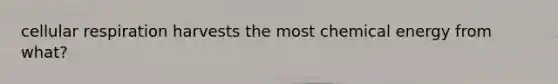 cellular respiration harvests the most chemical energy from what?