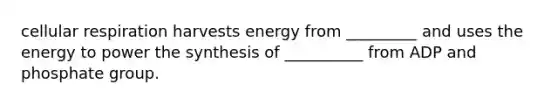 cellular respiration harvests energy from _________ and uses the energy to power the synthesis of __________ from ADP and phosphate group.