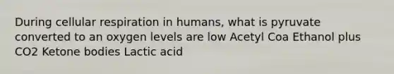 During cellular respiration in humans, what is pyruvate converted to an oxygen levels are low Acetyl Coa Ethanol plus CO2 Ketone bodies Lactic acid