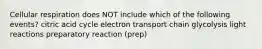 Cellular respiration does NOT include which of the following events? citric acid cycle electron transport chain glycolysis light reactions preparatory reaction (prep)