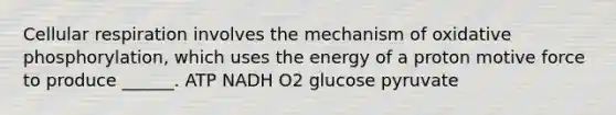 Cellular respiration involves the mechanism of oxidative phosphorylation, which uses the energy of a proton motive force to produce ______. ATP NADH O2 glucose pyruvate