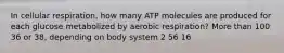 In cellular respiration, how many ATP molecules are produced for each glucose metabolized by aerobic respiration? More than 100 36 or 38, depending on body system 2 56 16