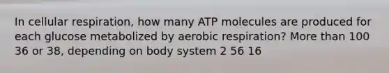 In cellular respiration, how many ATP molecules are produced for each glucose metabolized by aerobic respiration? More than 100 36 or 38, depending on body system 2 56 16