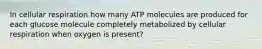 In cellular respiration how many ATP molecules are produced for each glucose molecule completely metabolized by cellular respiration when oxygen is present?