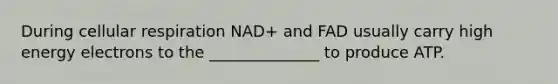 During <a href='https://www.questionai.com/knowledge/k1IqNYBAJw-cellular-respiration' class='anchor-knowledge'>cellular respiration</a> NAD+ and FAD usually carry high energy electrons to the ______________ to produce ATP.