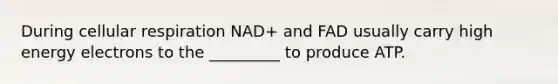 During cellular respiration NAD+ and FAD usually carry high energy electrons to the _________ to produce ATP.