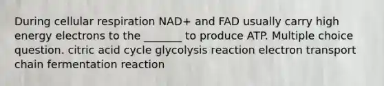 During cellular respiration NAD+ and FAD usually carry high energy electrons to the _______ to produce ATP. Multiple choice question. citric acid cycle glycolysis reaction electron transport chain fermentation reaction