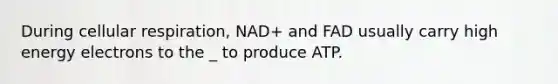 During <a href='https://www.questionai.com/knowledge/k1IqNYBAJw-cellular-respiration' class='anchor-knowledge'>cellular respiration</a>, NAD+ and FAD usually carry high energy electrons to the _ to produce ATP.