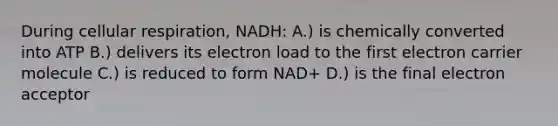 During cellular respiration, NADH: A.) is chemically converted into ATP B.) delivers its electron load to the first electron carrier molecule C.) is reduced to form NAD+ D.) is the final electron acceptor