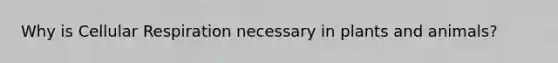 Why is <a href='https://www.questionai.com/knowledge/k1IqNYBAJw-cellular-respiration' class='anchor-knowledge'>cellular respiration</a> necessary in plants and animals?