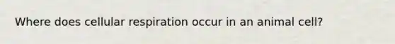 Where does cellular respiration occur in an animal cell?