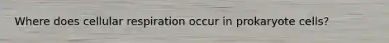 Where does cellular respiration occur in prokaryote cells?