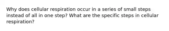 Why does cellular respiration occur in a series of small steps instead of all in one step? What are the specific steps in cellular respiration?