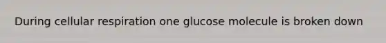 During cellular respiration one glucose molecule is broken down