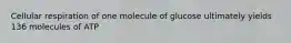 Cellular respiration of one molecule of glucose ultimately yields 136 molecules of ATP