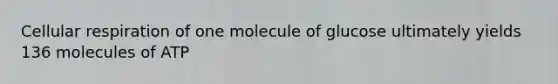 <a href='https://www.questionai.com/knowledge/k1IqNYBAJw-cellular-respiration' class='anchor-knowledge'>cellular respiration</a> of one molecule of glucose ultimately yields 136 molecules of ATP