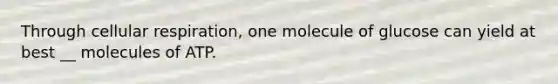 Through cellular respiration, one molecule of glucose can yield at best __ molecules of ATP.