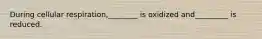 During cellular respiration,________ is oxidized and_________ is reduced.