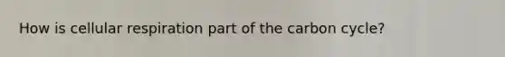 How is cellular respiration part of the carbon cycle?