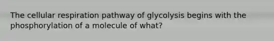 The cellular respiration pathway of glycolysis begins with the phosphorylation of a molecule of what?