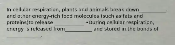 In cellular respiration, plants and animals break down___________. and other energy-rich food molecules (such as fats and proteins)to release ____________ •During cellular respiration, energy is released from___________ and stored in the bonds of ______________.