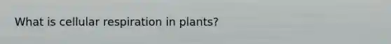 What is cellular respiration in plants?