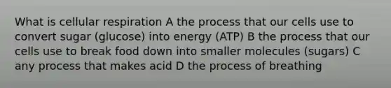 What is cellular respiration A the process that our cells use to convert sugar (glucose) into energy (ATP) B the process that our cells use to break food down into smaller molecules (sugars) C any process that makes acid D the process of breathing