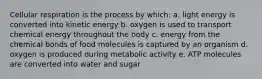 Cellular respiration is the process by which: a. light energy is converted into kinetic energy b. oxygen is used to transport chemical energy throughout the body c. energy from the chemical bonds of food molecules is captured by an organism d. oxygen is produced during metabolic activity e. ATP molecules are converted into water and sugar