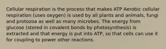 Cellular respiration is the process that makes ATP Aerobic cellular respiration (uses oxygen) is used by all plants and animals, fungi and protozoa as well as many microbes. The energy from glucose (stored in covalent bonds by photosynthesis) is extracted and that energy is put into ATP, so that cells can use it for coupling to power other reactions.