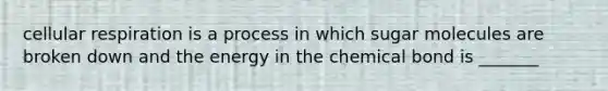 cellular respiration is a process in which sugar molecules are broken down and the energy in the chemical bond is _______