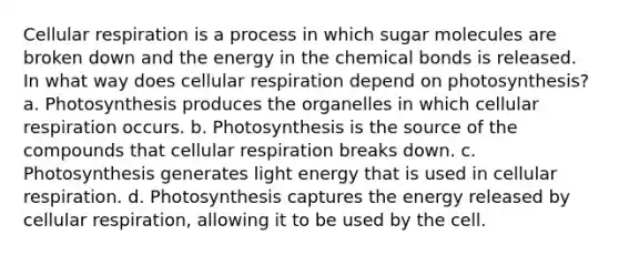 Cellular respiration is a process in which sugar molecules are broken down and the energy in the chemical bonds is released. In what way does cellular respiration depend on photosynthesis? a. Photosynthesis produces the organelles in which cellular respiration occurs. b. Photosynthesis is the source of the compounds that cellular respiration breaks down. c. Photosynthesis generates light energy that is used in cellular respiration. d. Photosynthesis captures the energy released by cellular respiration, allowing it to be used by the cell.