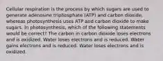 Cellular respiration is the process by which sugars are used to generate adenosine triphosphate (ATP) and carbon dioxide, whereas photosynthesis uses ATP and carbon dioxide to make sugars. In photosynthesis, which of the following statements would be correct? The carbon in carbon dioxide loses electrons and is oxidized. Water loses electrons and is reduced. Water gains electrons and is reduced. Water loses electrons and is oxidized.