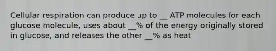 Cellular respiration can produce up to __ ATP molecules for each glucose molecule, uses about __% of the energy originally stored in glucose, and releases the other __% as heat