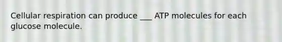 Cellular respiration can produce ___ ATP molecules for each glucose molecule.