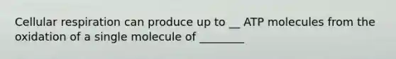 Cellular respiration can produce up to __ ATP molecules from the oxidation of a single molecule of ________