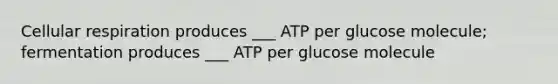 Cellular respiration produces ___ ATP per glucose molecule; fermentation produces ___ ATP per glucose molecule