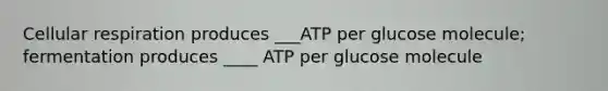 Cellular respiration produces ___ATP per glucose molecule; fermentation produces ____ ATP per glucose molecule